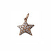 AENEA CHARM COLLECTION Pendant Star Rose Gold with White Diamonds